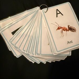 Alphabet Flash Cards for Kids - Educational Learning Toy